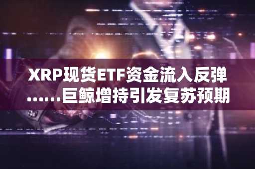 XRP现货ETF资金流入反弹……巨鲸增持引发复苏预期升温