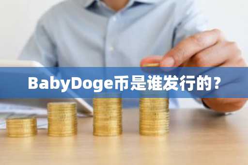 BabyDoge币是谁发行的？