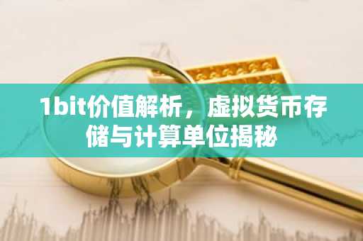 1bit价值解析，虚拟货币存储与计算单位揭秘