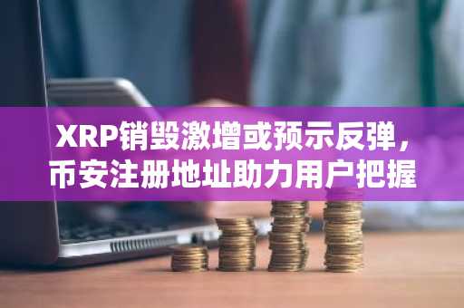 XRP销毁激增或预示反弹，币安注册地址助力用户把握行情
