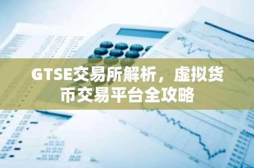 GTSE交易所解析，虚拟货币交易平台全攻略
