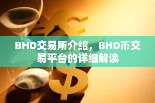 BHD交易所介绍，BHD币交易平台的详细解读