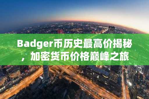 Badger币历史最高价揭秘，加密货币价格巅峰之旅
