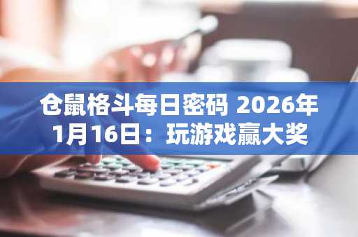 仓鼠格斗每日密码 2026年1月16日：玩游戏赢大奖