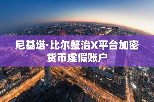 尼基塔·比尔整治X平台加密货币虚假账户