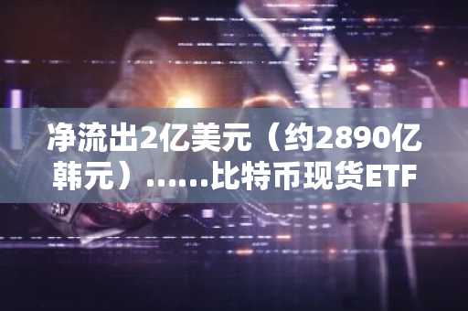 净流出2亿美元（约2890亿韩元）……比特币现货ETF“净化”结束后，5万美元宏观底部即将到来？