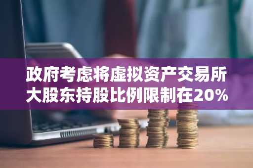 政府考虑将虚拟资产交易所大股东持股比例限制在20%以内……行业紧张情绪加剧