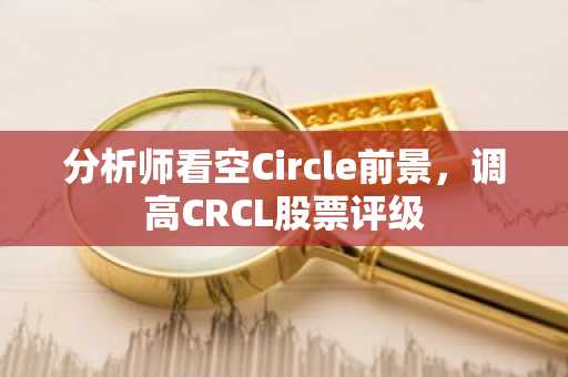 分析师看空Circle前景，调高CRCL股票评级