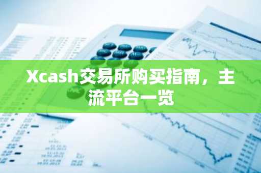 Xcash交易所购买指南，主流平台一览