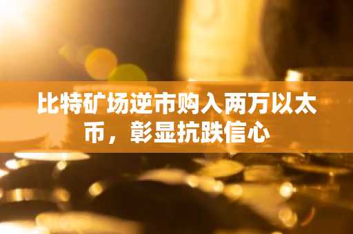 比特矿场逆市购入两万以太币，彰显抗跌信心