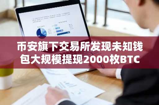 币安旗下交易所发现未知钱包大规模提现2000枚BTC