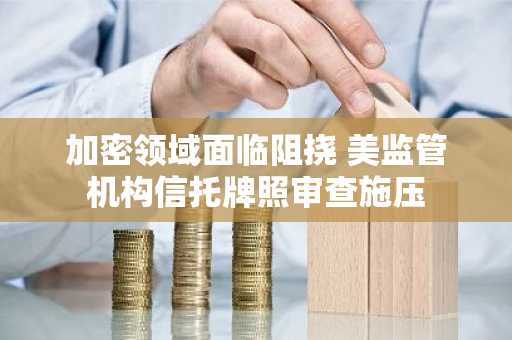 加密领域面临阻挠 美监管机构信托牌照审查施压