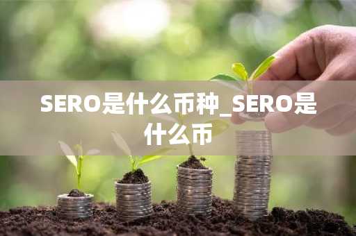 SERO是什么币种_SERO是什么币
