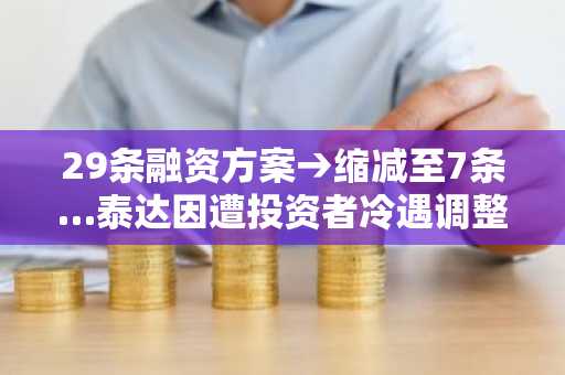 29条融资方案→缩减至7条…泰达因遭投资者冷遇调整战略