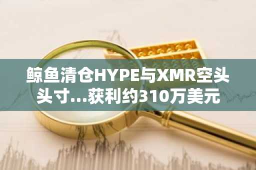 鲸鱼清仓HYPE与XMR空头头寸…获利约310万美元