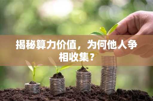 揭秘算力价值，为何他人争相收集？