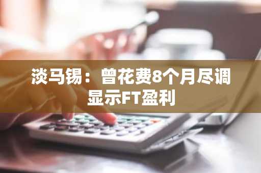 淡马锡：曾花费8个月尽调显示FT盈利