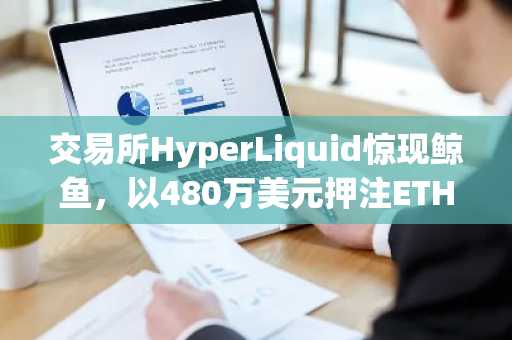 交易所HyperLiquid惊现鲸鱼，以480万美元押注ETH，杠杆做空扩大至20倍