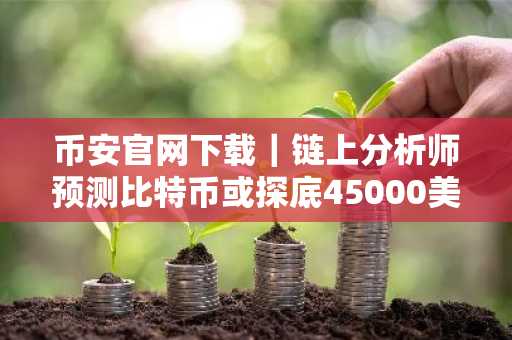 币安官网下载｜链上分析师预测比特币或探底45000美元
