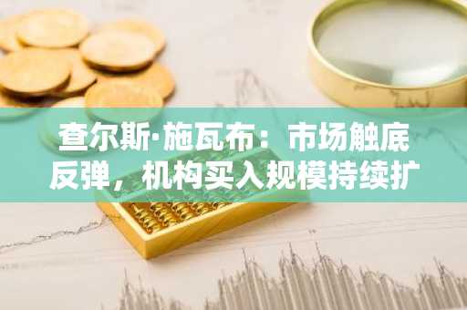 查尔斯·施瓦布：市场触底反弹，机构买入规模持续扩大