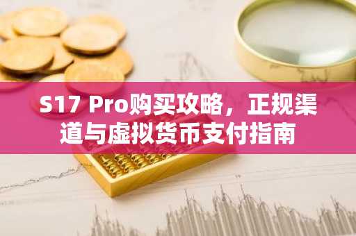 S17 Pro购买攻略，正规渠道与虚拟货币支付指南