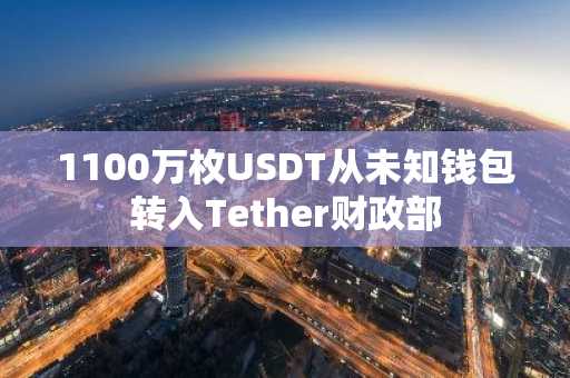 1100万枚USDT从未知钱包转入Tether财政部