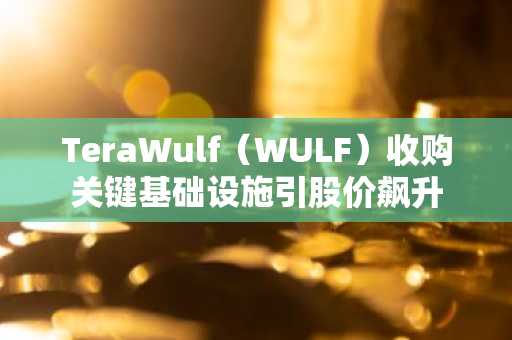TeraWulf(WULF)收购关键基础设施引股价飙升