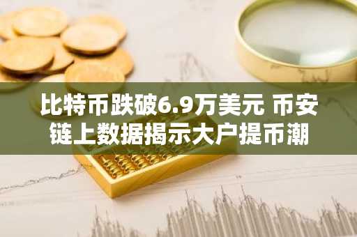 比特币跌破6.9万美元 币安链上数据揭示大户提币潮