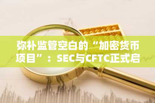 弥补监管空白的“加密货币项目”：SEC与CFTC正式启动监管整合合作