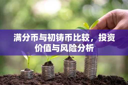 满分币与初铸币比较，投资价值与风险分析