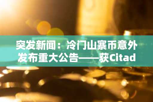 突发新闻:冷门山寨币意外发布重大公告——获Citadel与ARK Invest投资,宣布与DTTC建立合作伙伴关系