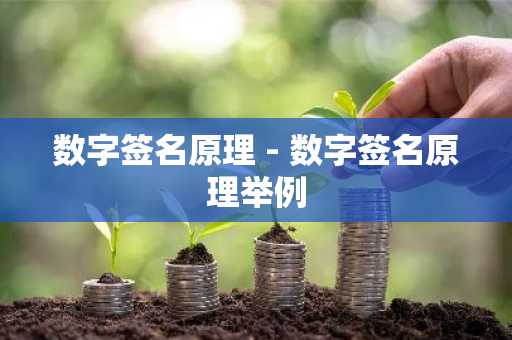 数字签名原理 - 数字签名原理举例