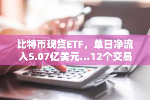 比特币现货ETF，单日净流入5.07亿美元…12个交易品种全线资金流入