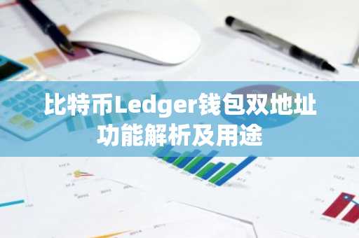 比特币Ledger钱包双地址功能解析及用途