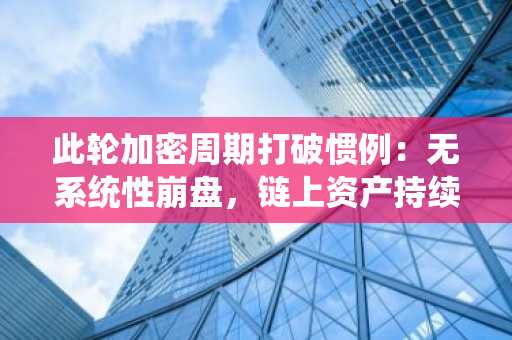 此轮加密周期打破惯例：无系统性崩盘，链上资产持续增长