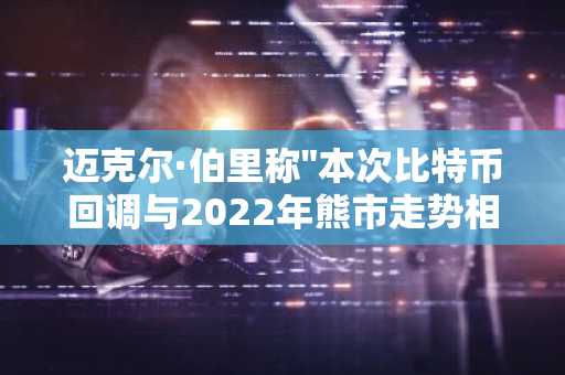 迈克尔·伯里称"本次比特币回调与2022年熊市走势相似"