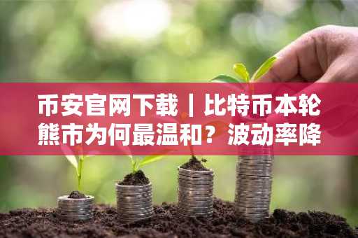 币安官网下载｜比特币本轮熊市为何最温和？波动率降至47.3%