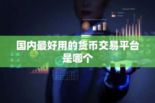 国内最好用的货币交易平台是哪个