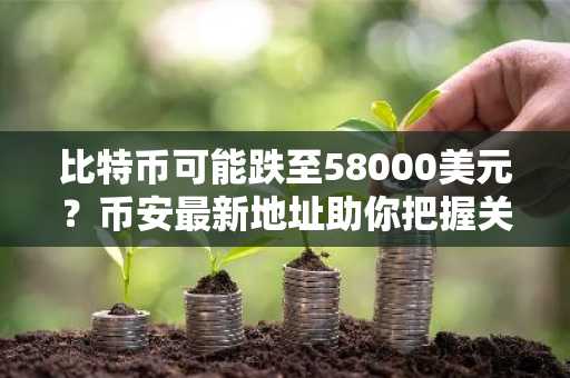 比特币可能跌至58000美元？币安最新地址助你把握关键支撑位