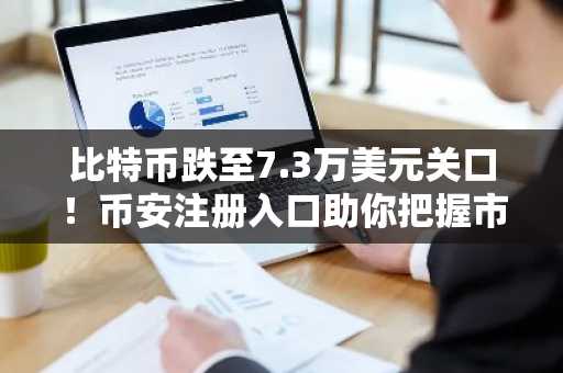 比特币跌至7.3万美元关口！币安注册入口助你把握市场低点机会