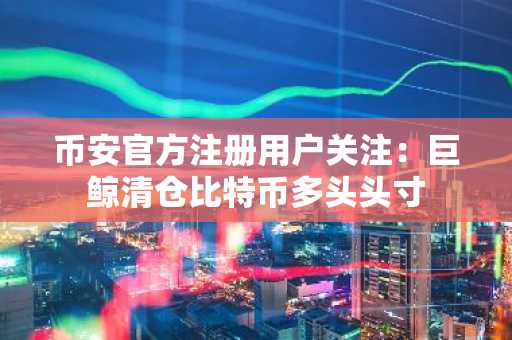 币安官方注册用户关注：巨鲸清仓比特币多头头寸