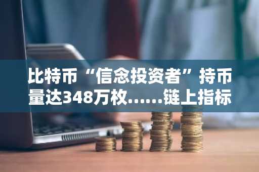 比特币“信念投资者”持币量达348万枚……链上指标显示接近熊市底部区间