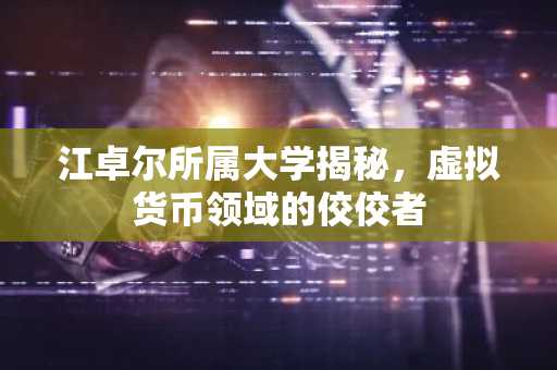 江卓尔所属大学揭秘，虚拟货币领域的佼佼者
