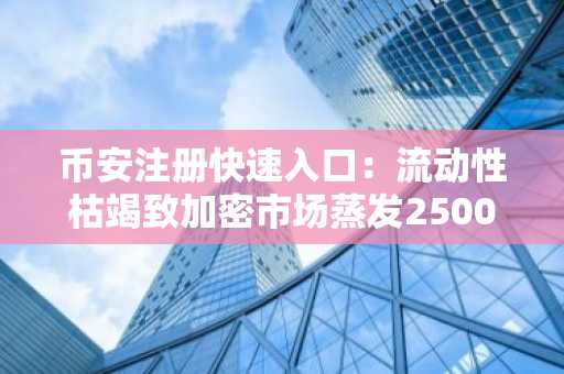 币安注册快速入口：流动性枯竭致加密市场蒸发2500亿