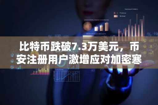 比特币跌破7.3万美元,币安注册用户激增应对加密寒冬