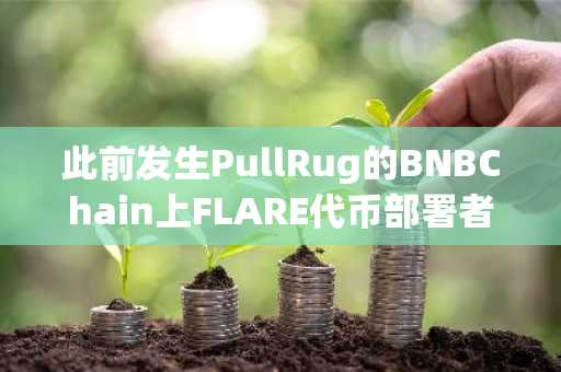 此前发生PullRug的BNBChain上FLARE代币部署者将超3万枚BNB转入TornadoCash