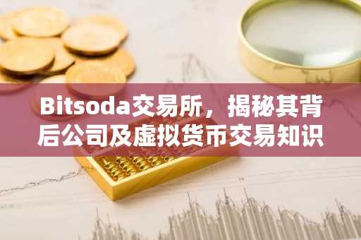 Bitsoda交易所，揭秘其背后公司及虚拟货币交易知识